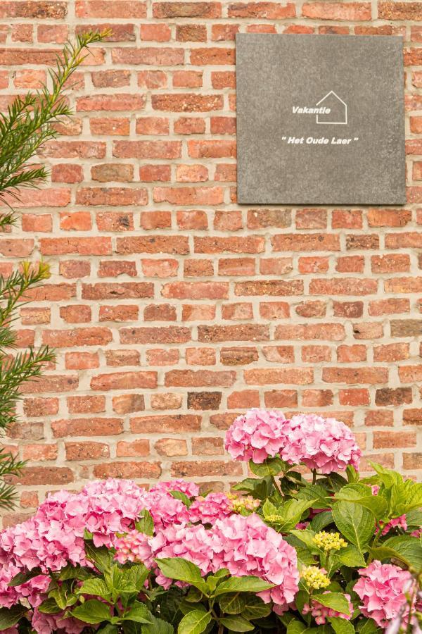 Vakantiewoning Het Oude Laer Bilzen Buitenkant foto